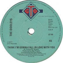 The Dooleys : Think I'm Gonna Fall In Love With You (7", Single)