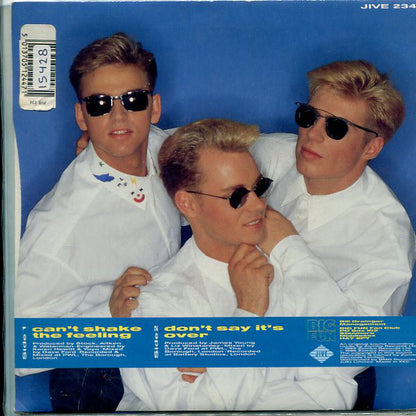 Big Fun : Can't Shake The Feeling (7", Single, Sil)