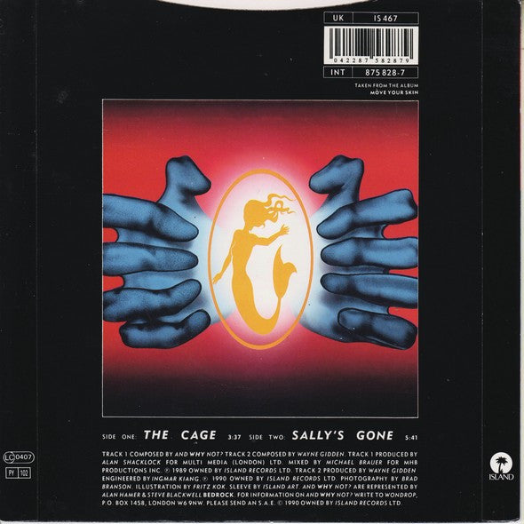 And Why Not? : The Cage (7", Single)