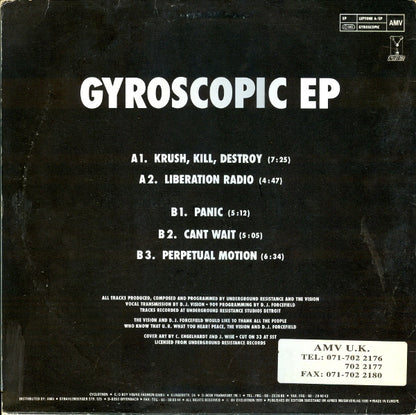The Vision : Gyroscopic EP (12", EP)