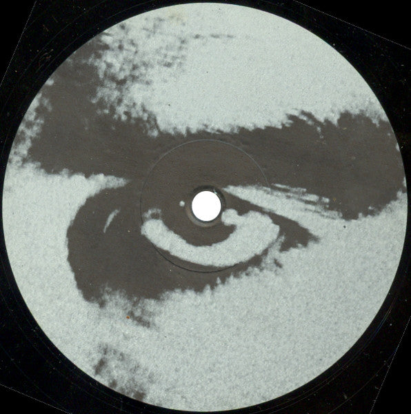 The Vision : Gyroscopic EP (12", EP)