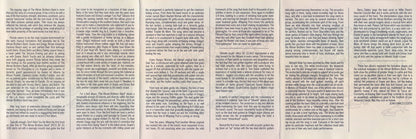 The Allman Brothers Band : Beginnings (CD, Comp, RM)